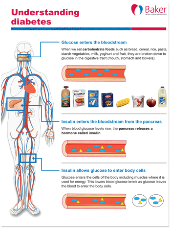 Baker-Institute-factsheet-understanding-diabetes