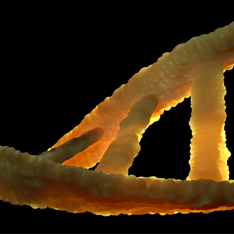 Genetic risk prediction