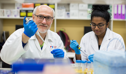 Researchers in a laboratory