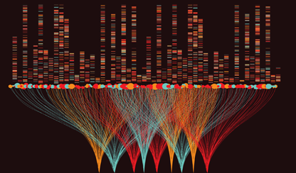 Big data analysis