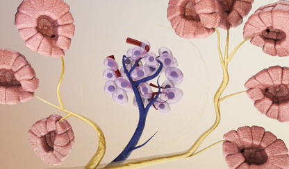 Awakening insulin-producing cells