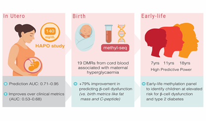 A simple test could predict a newborn's risk of developing type 2 diabetes