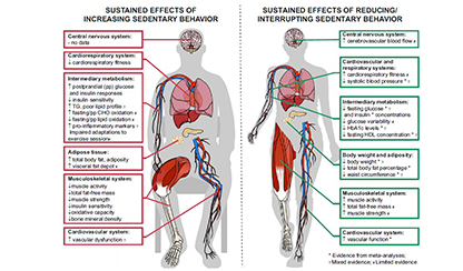 AI-guided technology to detect heart disease