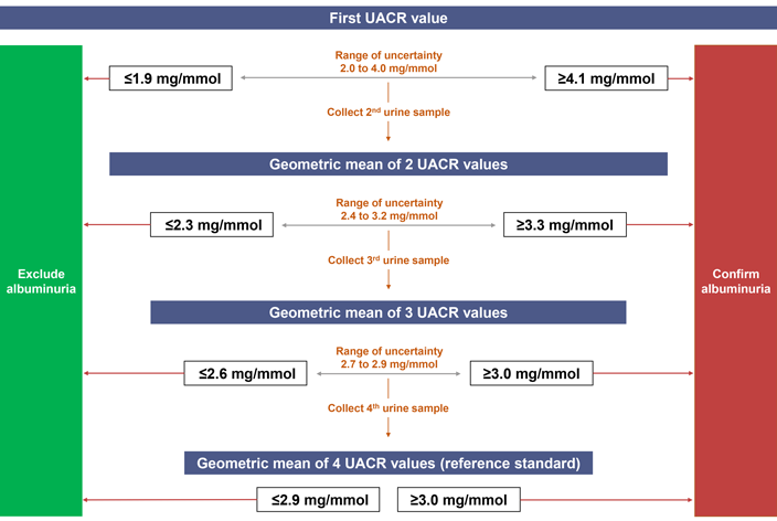 Urine albumin:creatinine ratio decision tree