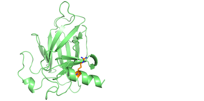 Molecular consequences of mutations