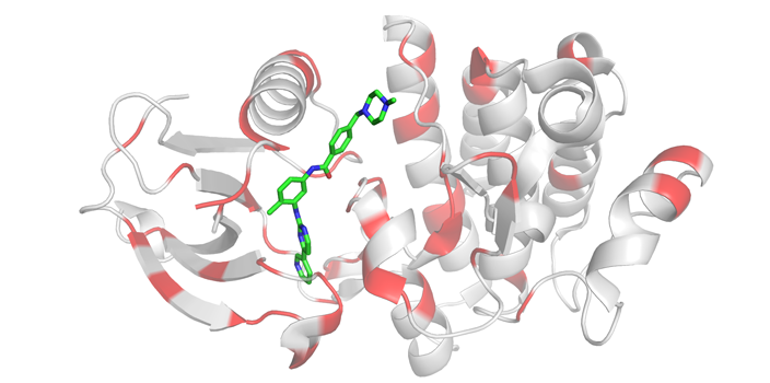 Tackling drug resistance