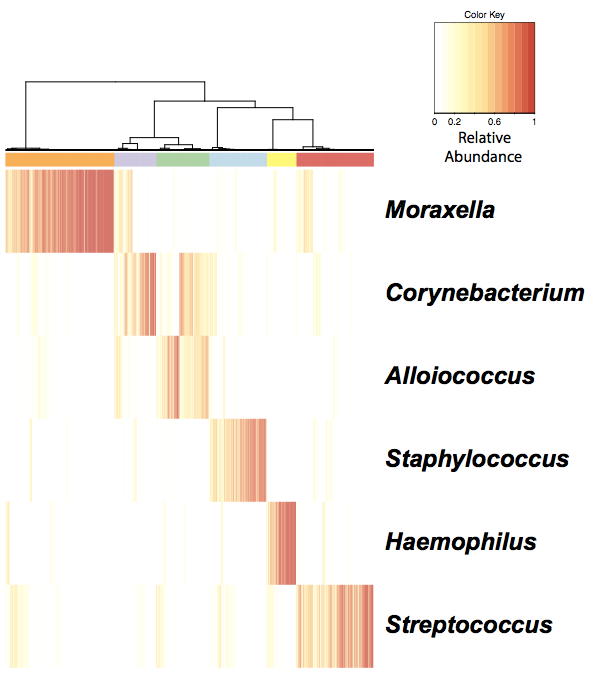 Microbiome