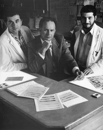 John Saltis (L) Alex Agrotis (R) with Alex Bobik (M) in the Cell Biology Laboratory